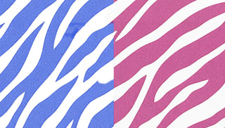 Zebra Set