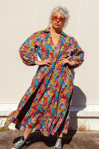 Stella Dress - Rainbow Safari